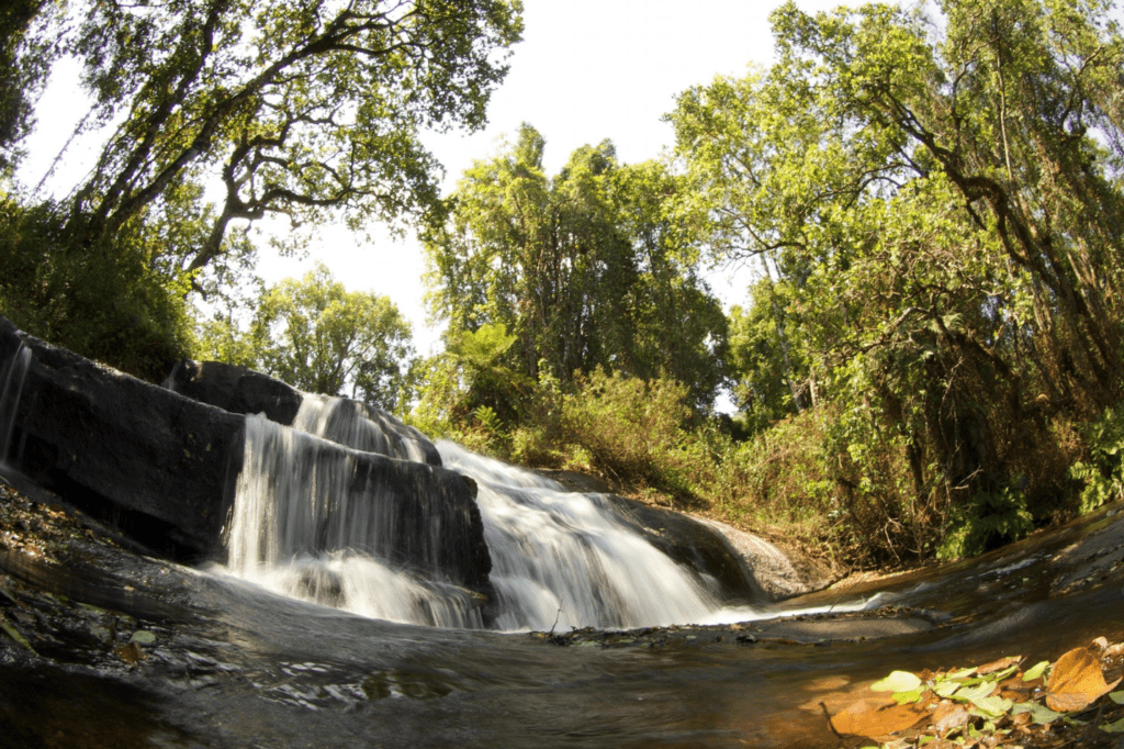 Waterfall in nature